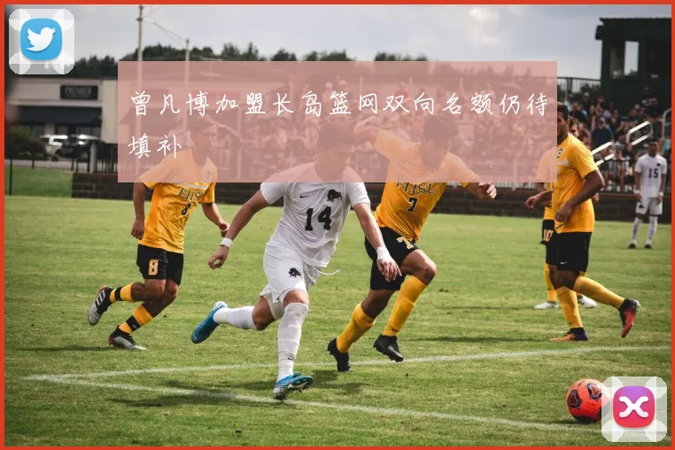 曾凡博加盟长岛篮网双向名额仍待填补