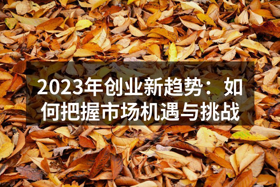 2023年创业新趋势：如何把握市场机遇与挑战